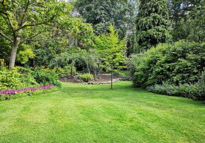 Optimiser l'expérience du jardin à Culetre